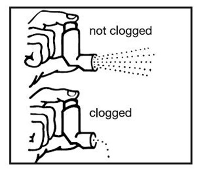 Image Of Figure C (Figure C)